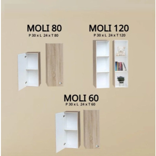 Lemari Gantung | Ambalan Gantung Kayu Pajangan/ Rak Buku / Rak serba guna - Moli
