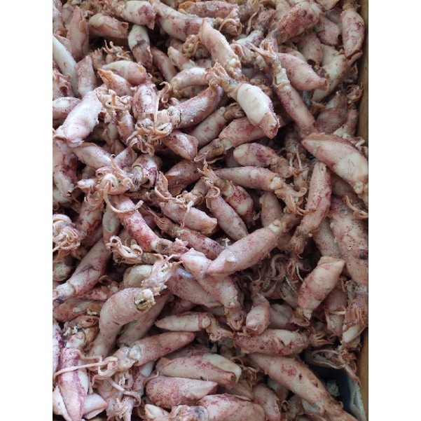 

cumi asin sotong 500gr-1kgMurah