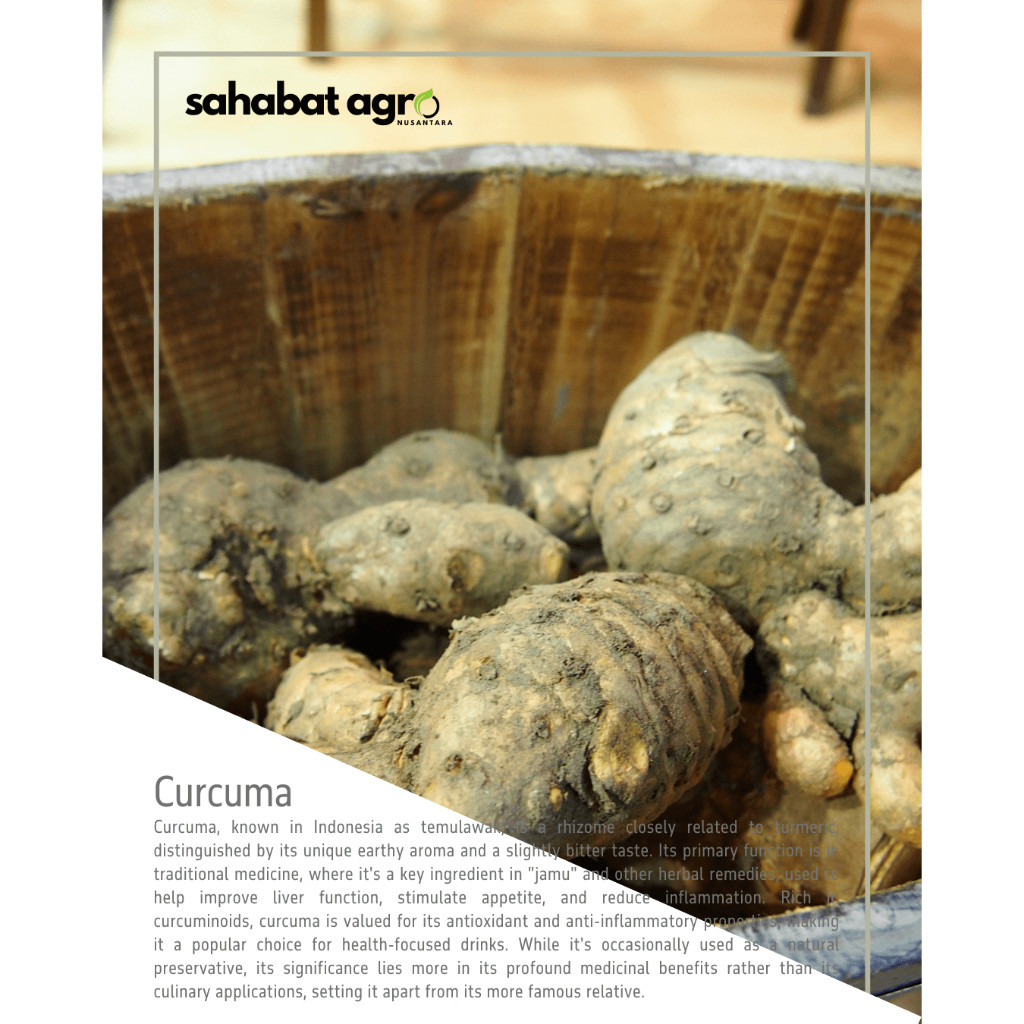 

[Sahabat Agro Nusantara] Temulawak Kering Kualitas Ekspor Kemasan Premium Kaca 100ml