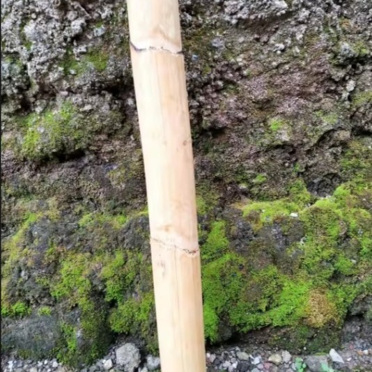 Kayu Rotan Besar Kayu Rotan Kuat Kayu Rotan Batang Besar 1 meter