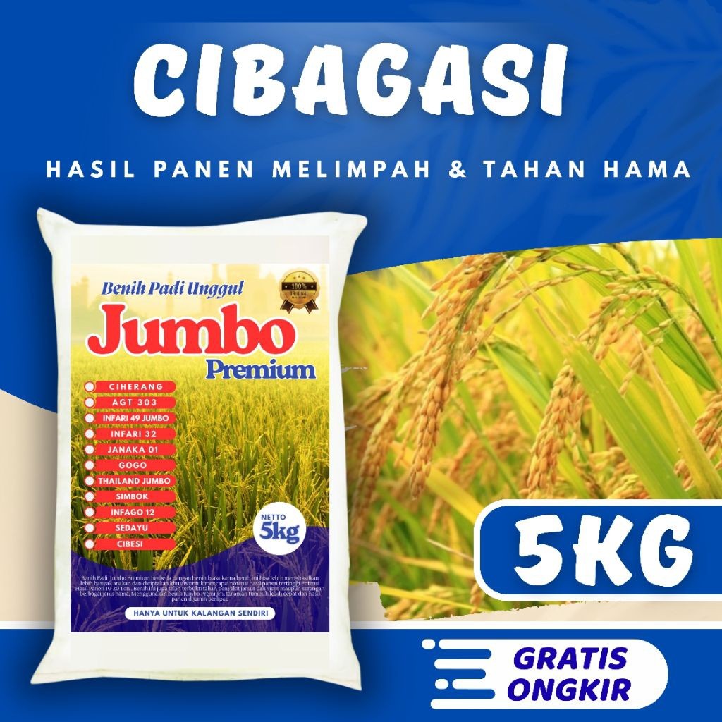 Benih padi unggul cibagasi original kemasan 5kg Berkualitas / Anti Hama / Anti Roboh - SRI JAYA FARM