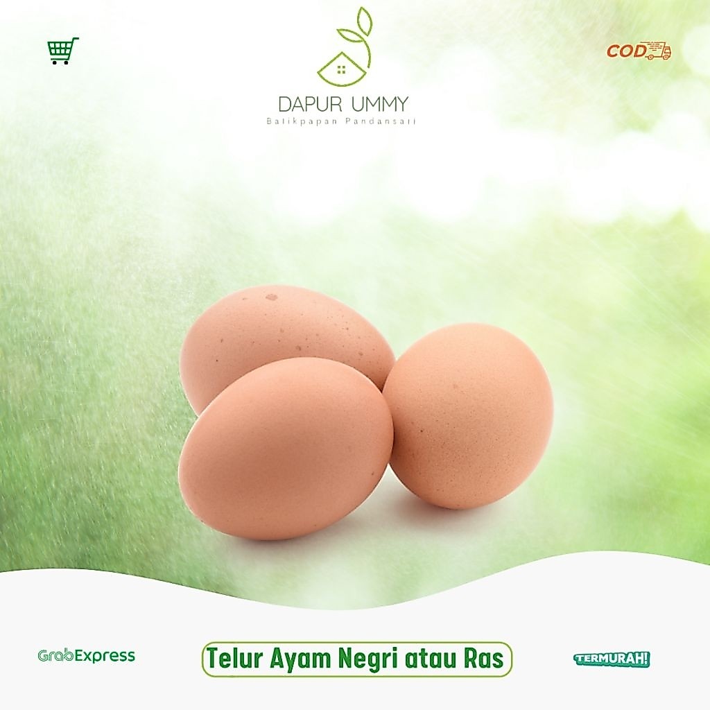 TELUR AYAM • Telur Ayam Negri • Jumbo