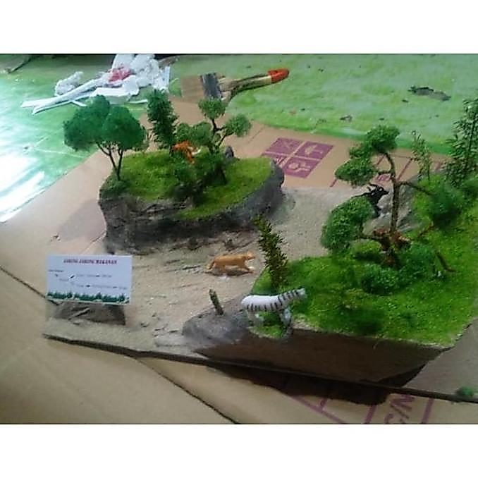 diorama kit hutan