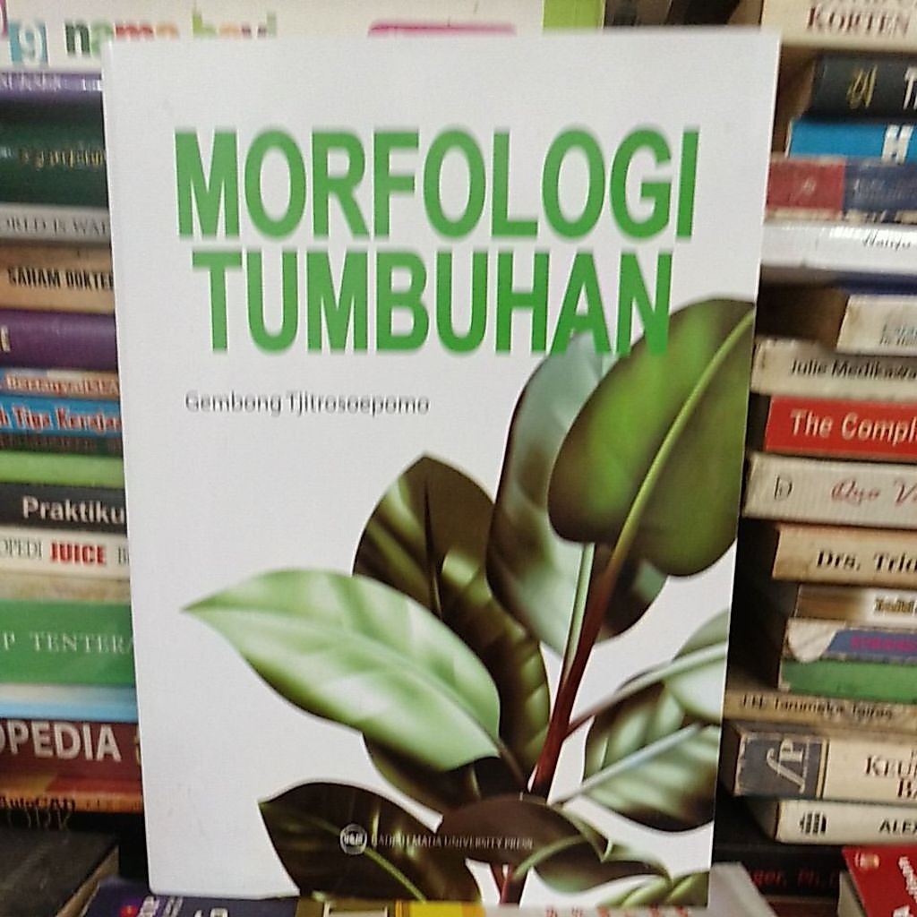 MORFOLOGI TUMBUHAN