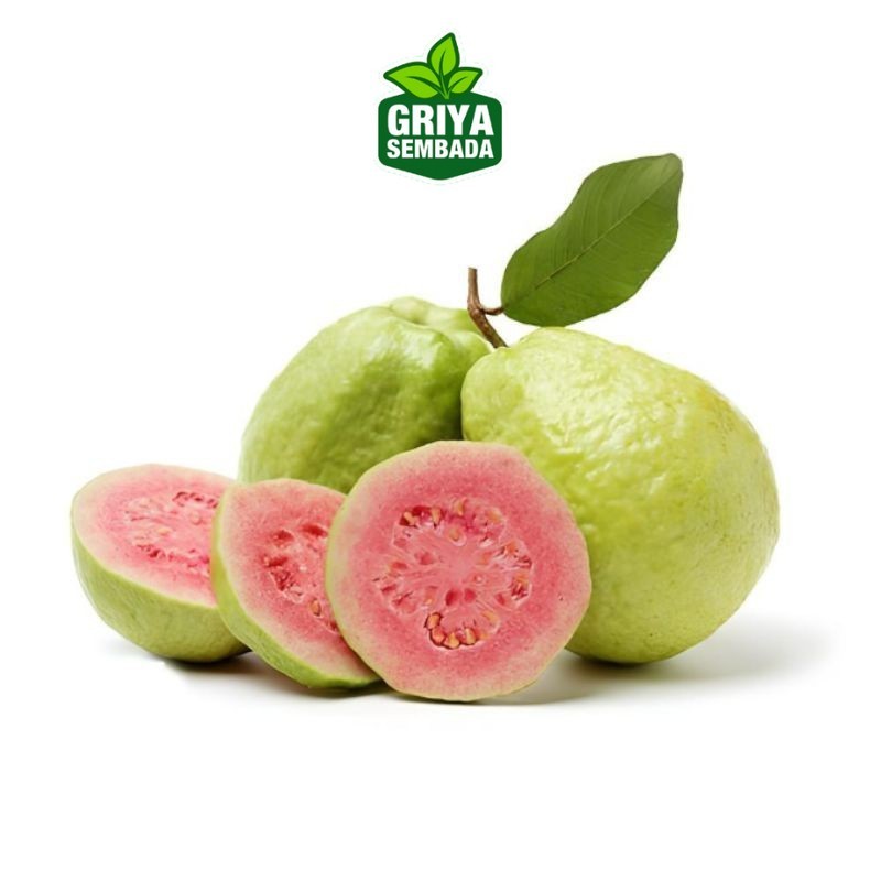 

Jambu Biji Merah Segar 1 KG Griya Sembada/ Semarang