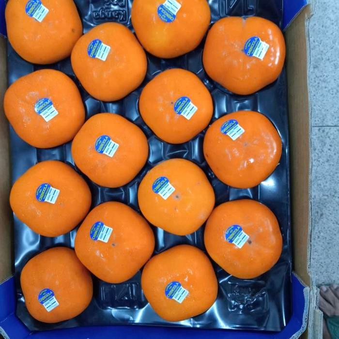 

Buah persimon new zealand manis fresh per box 3,5kg
