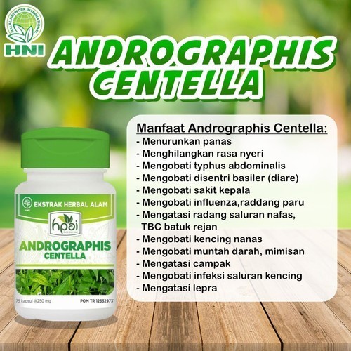 Andrographis Centella HNI HPAI - Herbal Sakit Liver - Tipes