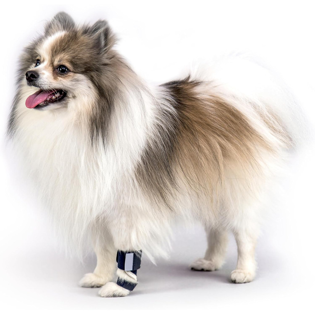 1/2pc Dog Front Leg Splint Carpal Hyperextension Dog Brace Supports Fractures and Sprains Front Leg 