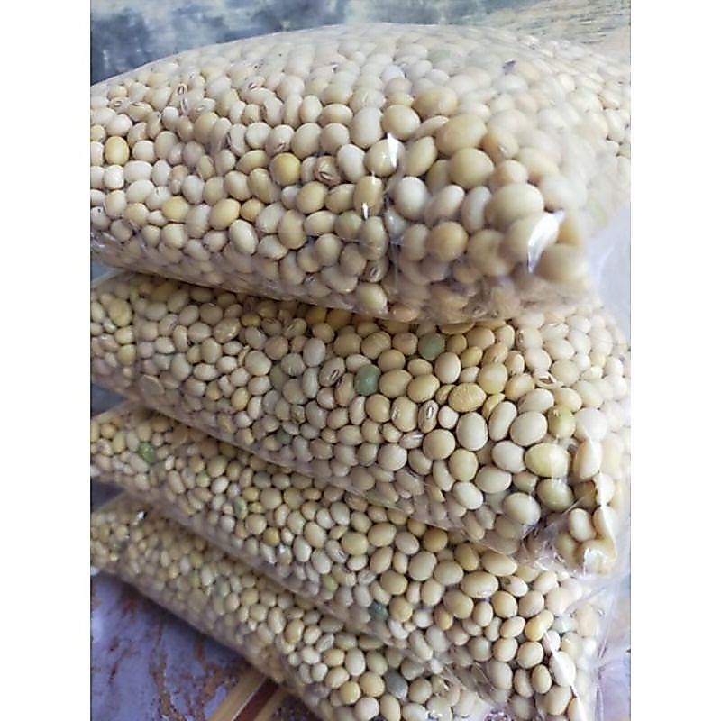 1KG BENIH KEDELAI SUPER GROBOGAN TERLARIIS