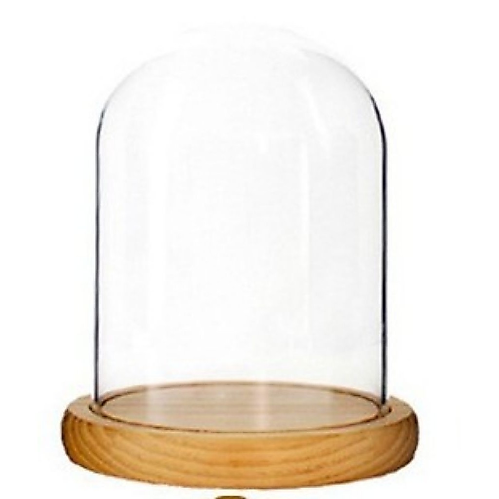 glass dome alas kayu - glass dome flower - wadah kaca untuk bunga