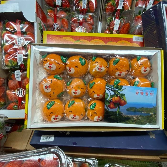 

Buah jepang | jeruk ehime mikan super original jepang box