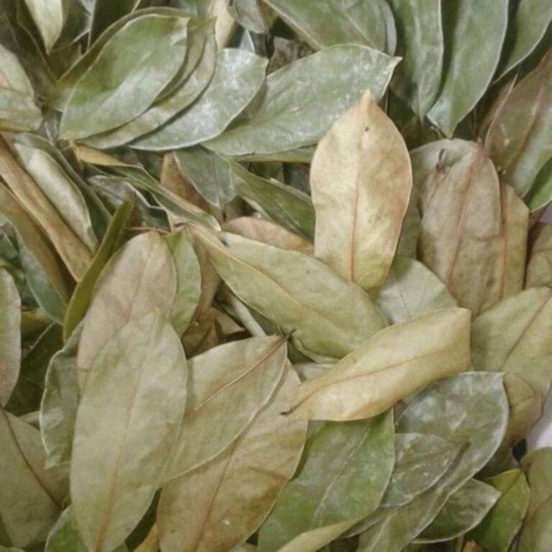 

[Sehat Alami] Daun Sirsak 500 Gram Sirsat Kering