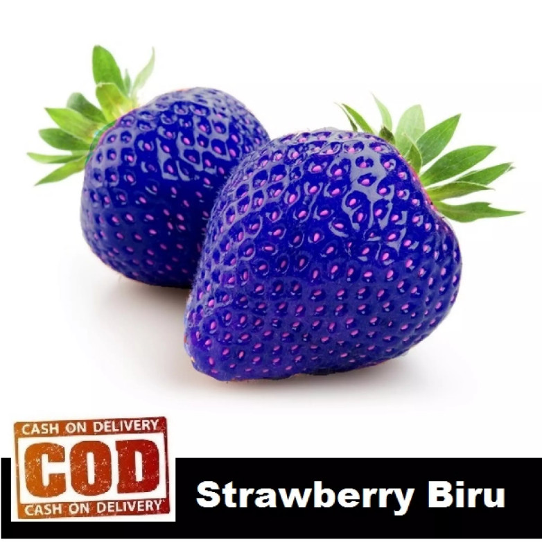 STRAWBERRY BIRU - 100 biji / bibit / benih STROBERI / STRAWBERRY / STROBERY - seeds Buah - TOKO CANT