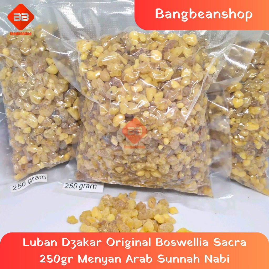 Luban Dzakar Original Boswellia Sacra 250gr Menyan Arab Sunnah Nabi
