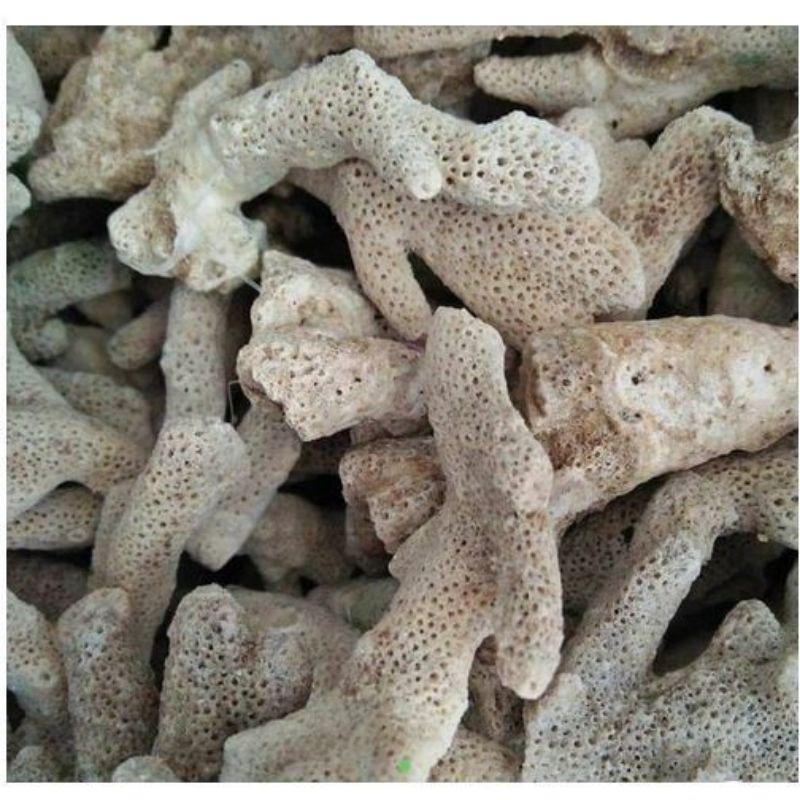 MEDIA FILTER KERANG JAHE 1 KG - PENETRALISIR PH AIR