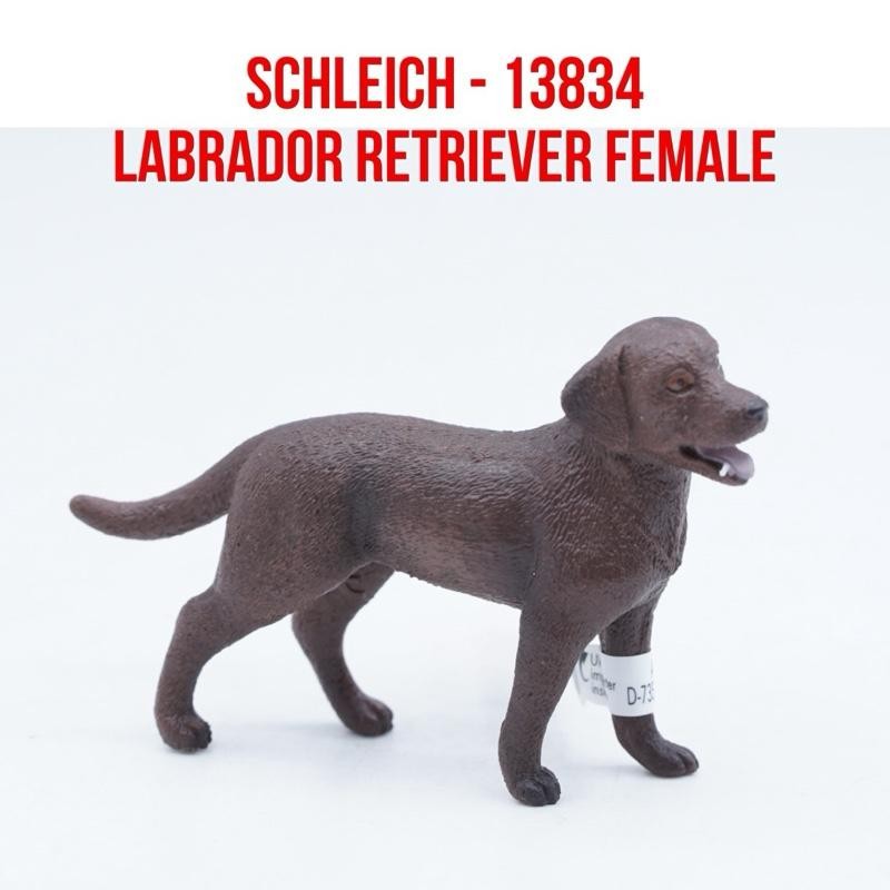 Schleich 13834 Labrador Retriever Female Dog Anjing Labrador Retriever Canis lupus familiaris Mainan
