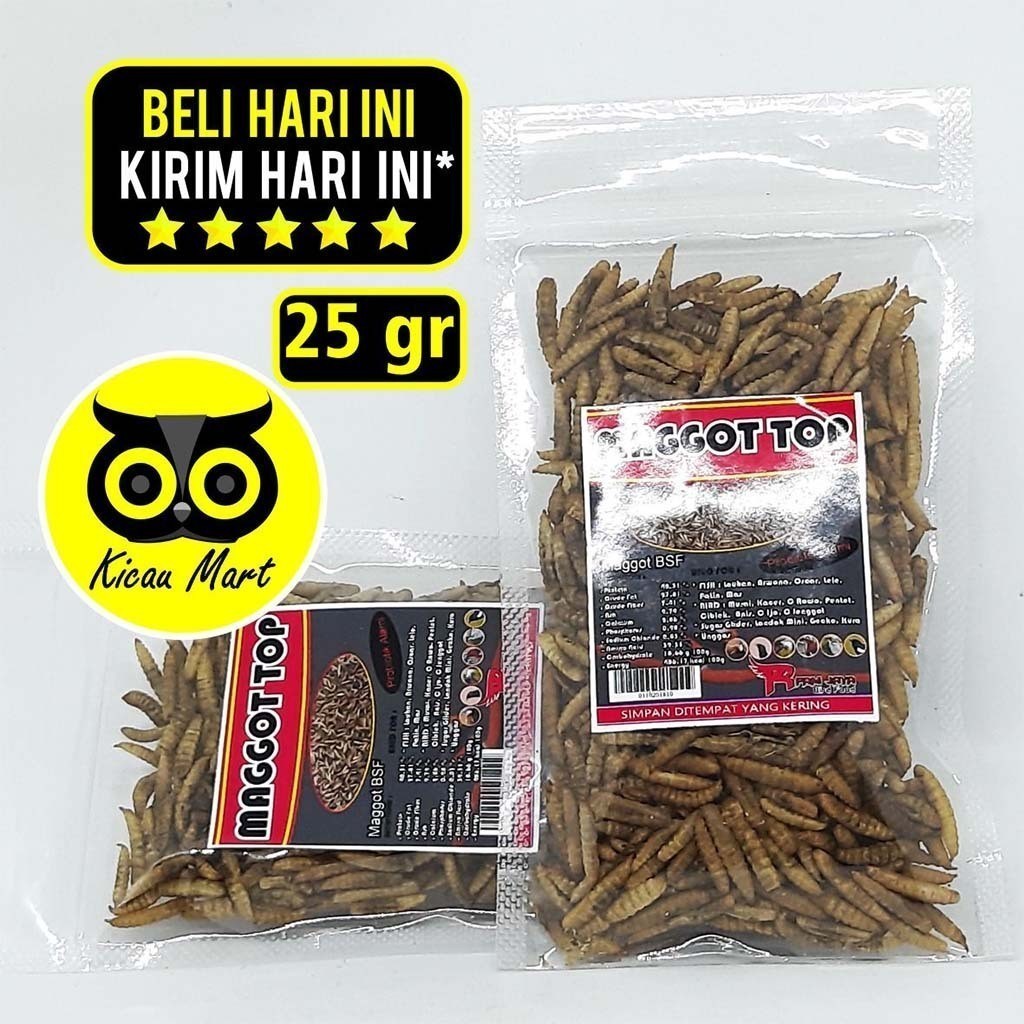 KICAU MART PAKAN MAKANAN BURUNG MURAI KACER ANIS CUCAK PLECI EXTRA FOODING EF MAGGOT TOP KERING R-FA