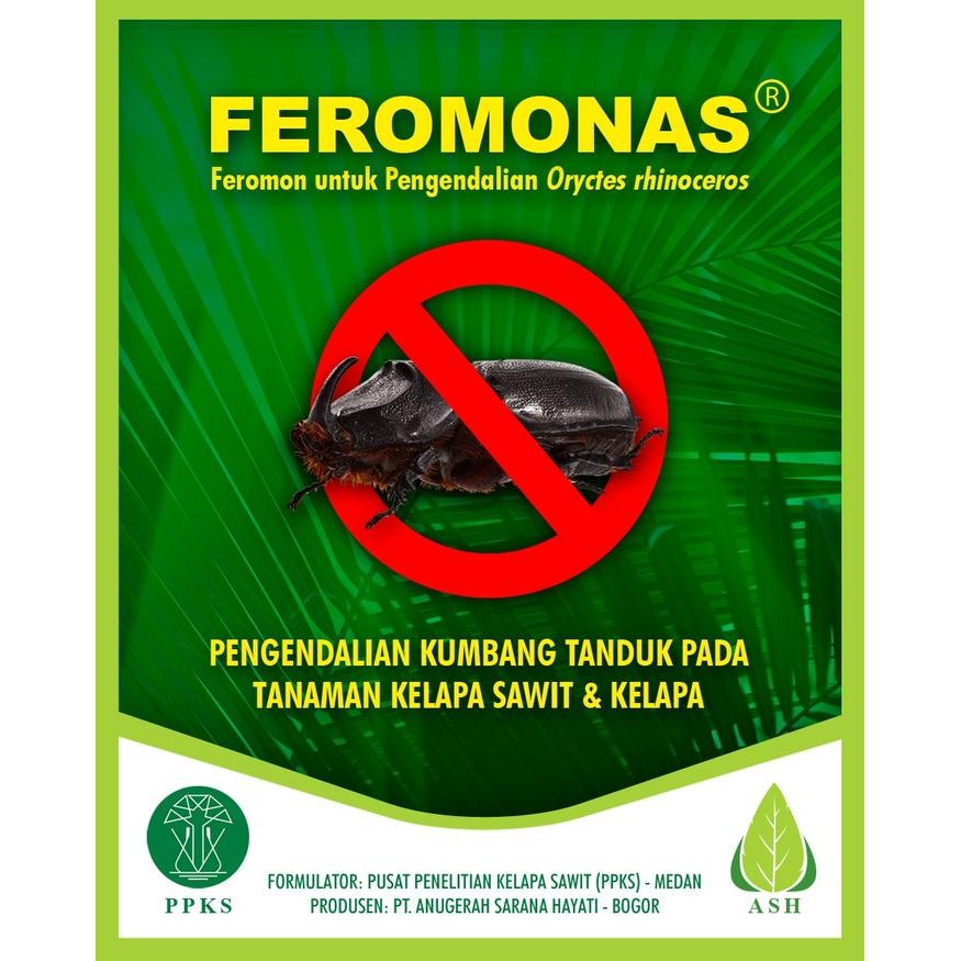 [ OXGRE ]  FEROMONAS Feromon Pengendali Hama Kumbang Tanduk