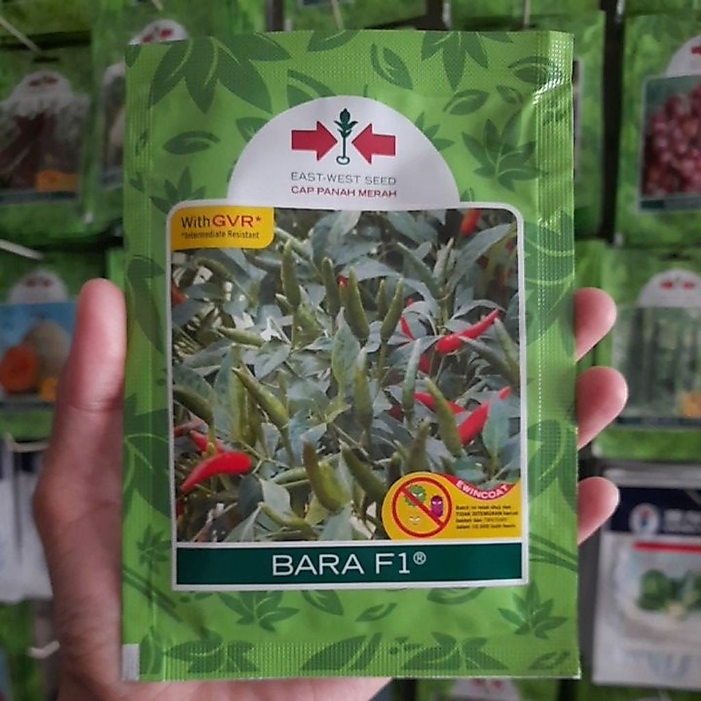 Benih Cabe Rawit BARA F1 Isi 2250 biji Expired September 2026