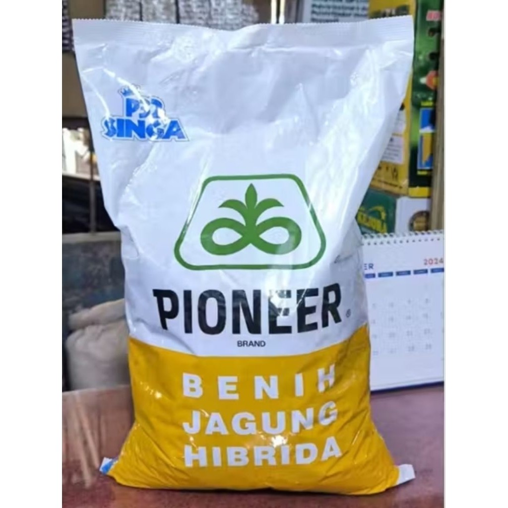 Benih Jagung P32 Singa Pioner 5KG Hasil Tinggi