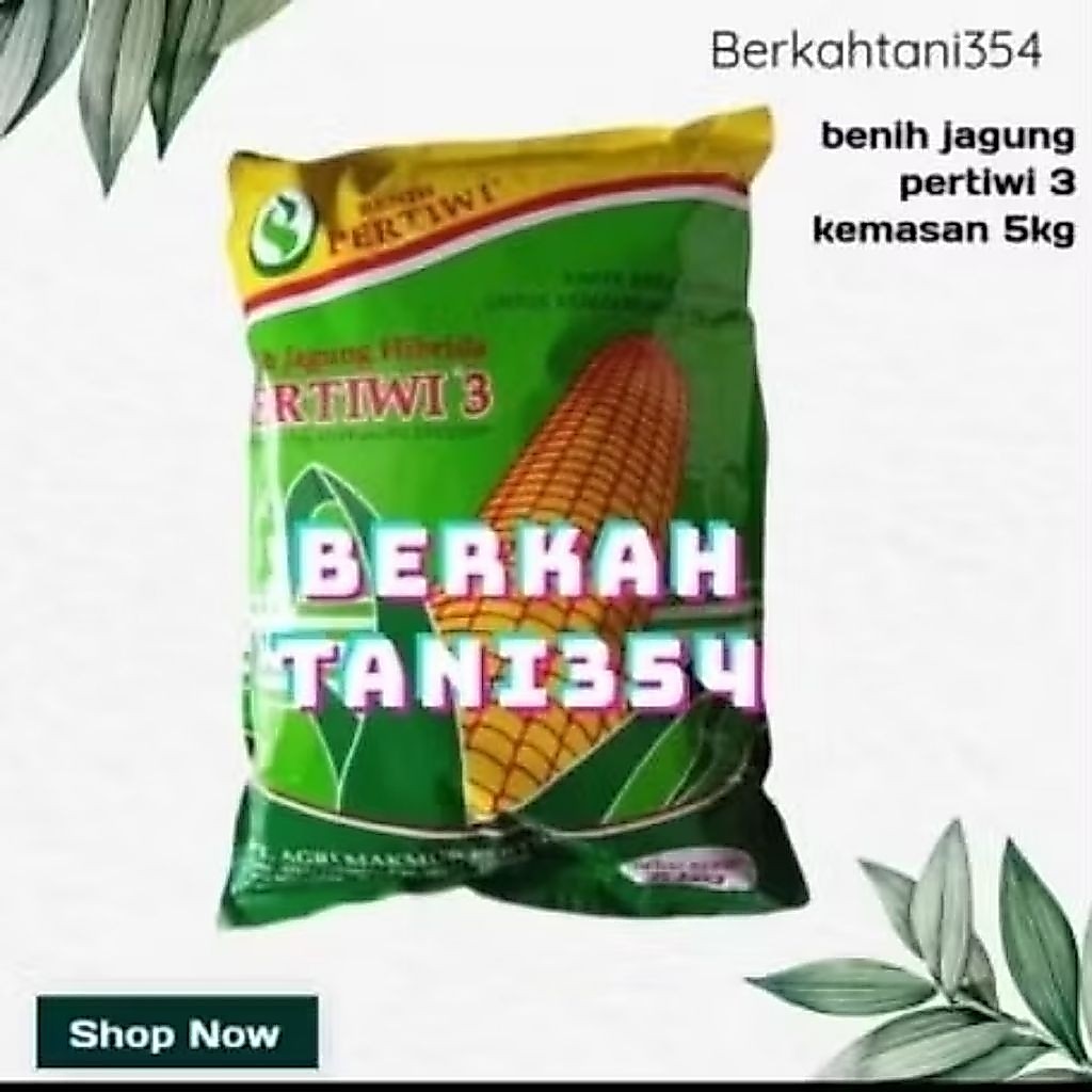 exp nov 2026 Benih jagung pertiwi 3 kemasan 5kg Bibit jagung hibrida pertiwi 3 5kg pertiwi 3