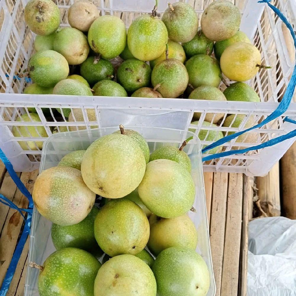 

Buah Markisa Segar Fresh Manis Asam untuk Kesehatan Jantung - Zuriat, Jeruk Frozen Lemon Gula