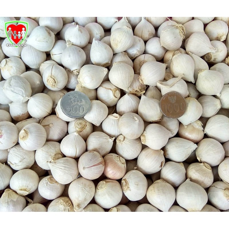 

Bawang Putih Tunggal Super / Lanang 1 Kg Super Import