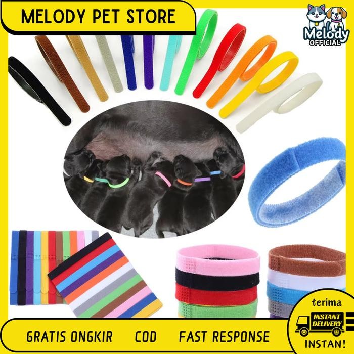 Sale melodypetstore KALUNG ID COLLAR untuk kitten puppy Pet Acessories "KALUNG KITTEN" Kalung Isi 12