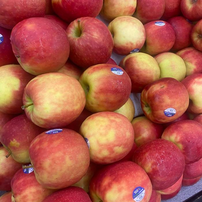 

APEL PINK LADY NEW ZEALAN / BUAH APEL PINKLADY NZ MANIS GARING 1 KG