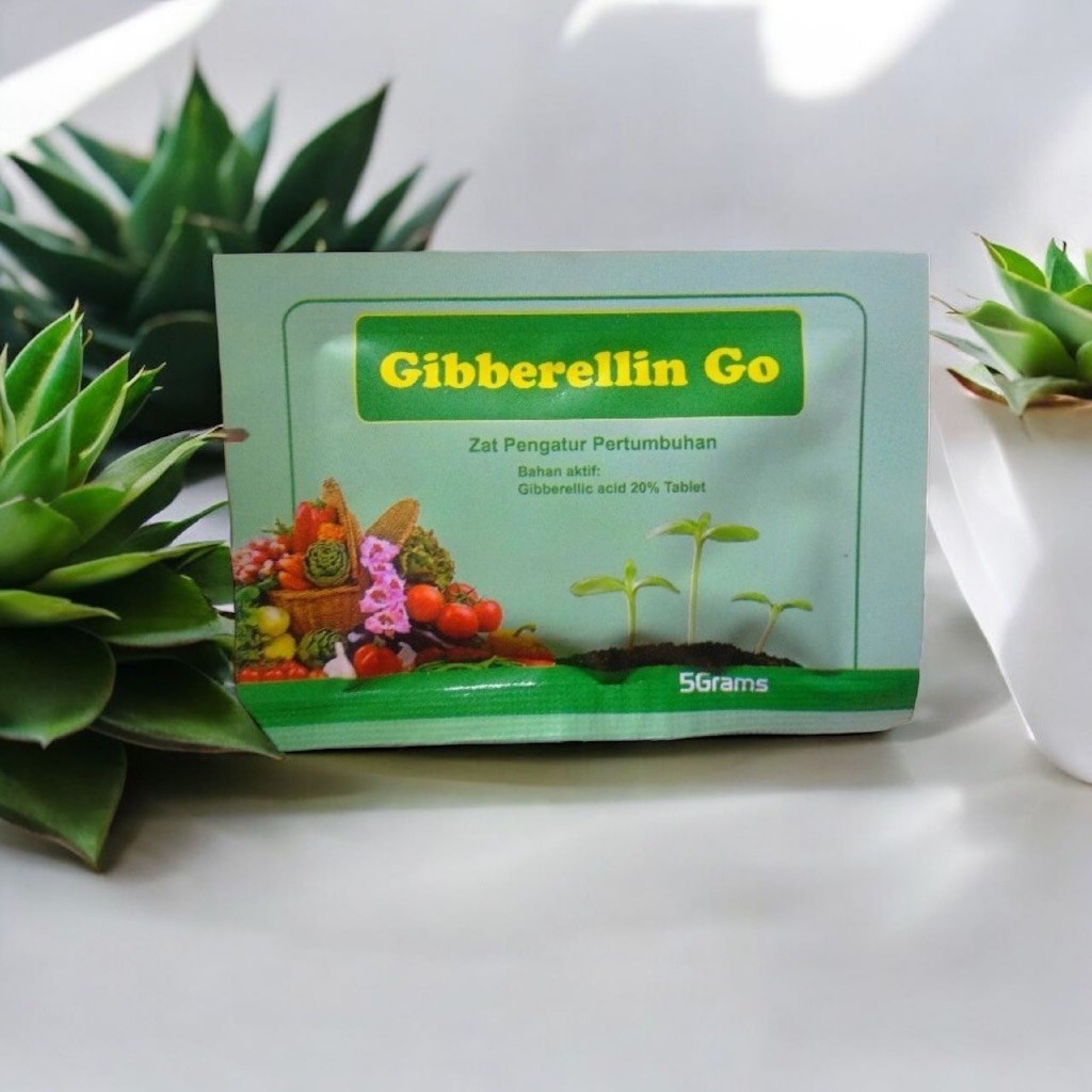 SUPERGIB ZPT GA3 ANGGUR