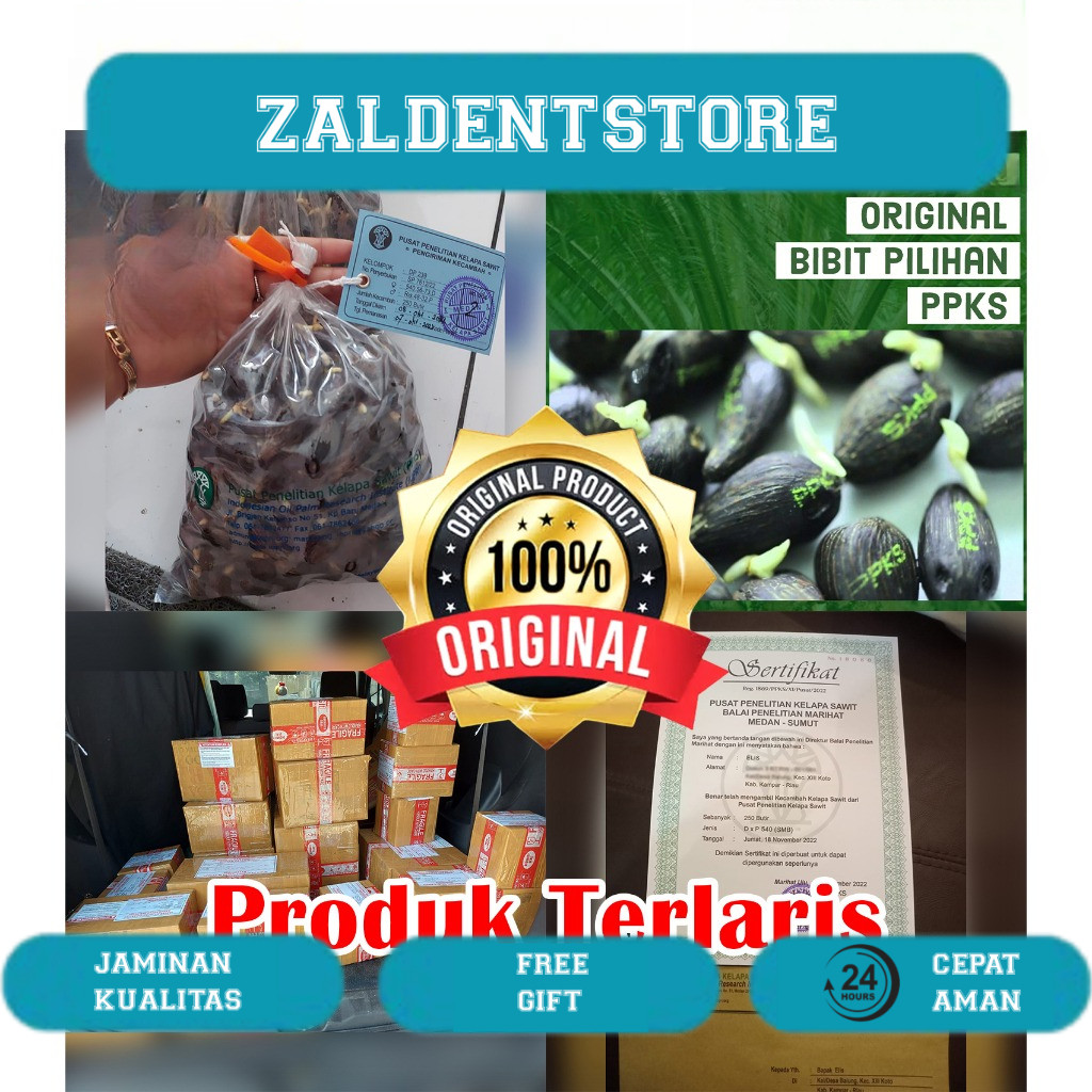 PPKS DxP 239 UNGGUL DAPAT SERTIFIKAT