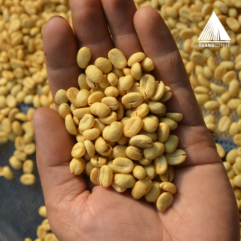 

JAMIN MURAH !!!Roasted Bean Premium Arabica Washed Tuang Coffee(BISA LANGSUNG ORDER)