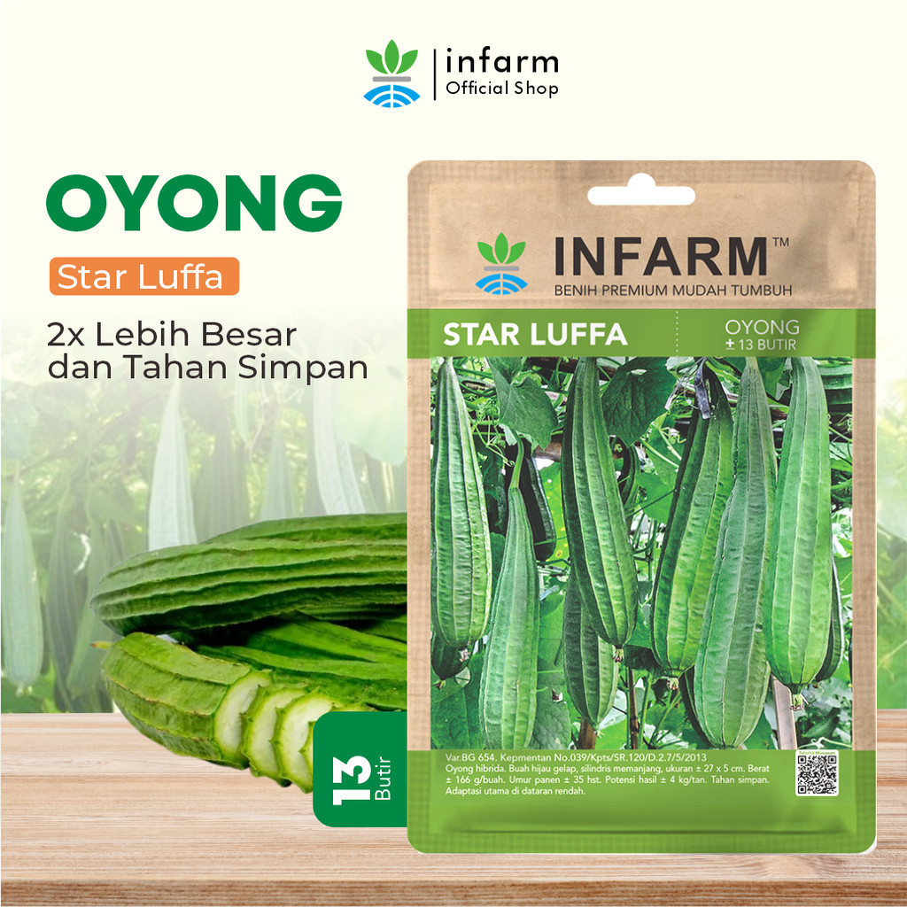 INFARM - Benih Unggul Sayur Gambas Oyong, Bibit Oyong Super Bibit Sayur Gambas Oyong Berkualitas