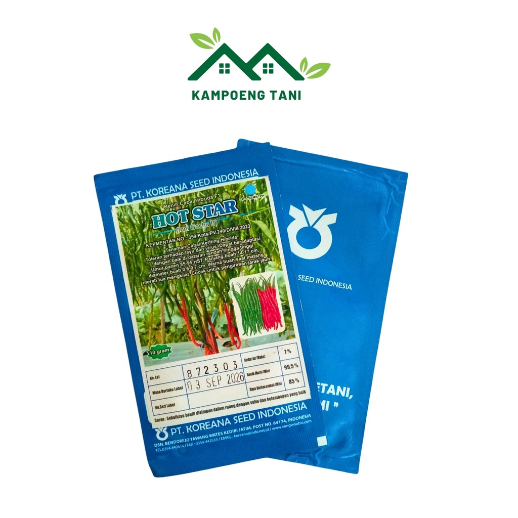 Benih Cabe Hot Star F1 Koreana Seed – Tahan Layu & Virus, Panen 85 HST