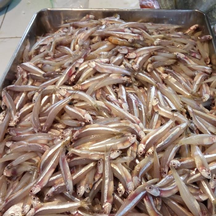 Ikan Teri Jengki Basah 1 kg