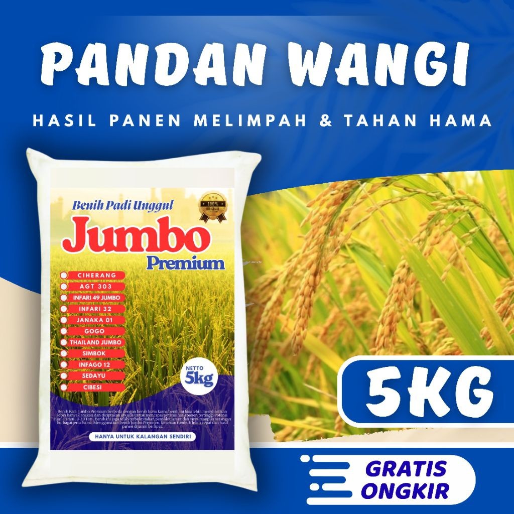 Benih padi unggul pandan wangi original kemasan 5kg Berkualitas / Anti Hama / Anti Roboh - SRI JAYA 