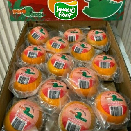 Instant persimon/kesemek dino 8,5kg dus /Sameday/Buah Lokal/Buah Import/Ignacio Box/Jakarta