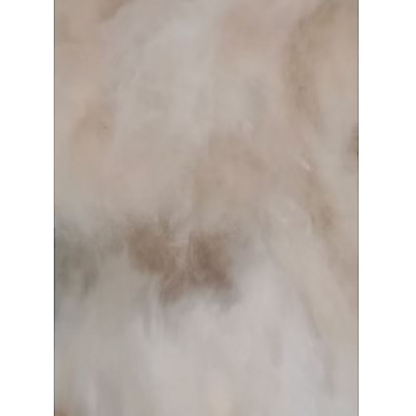 kapuk bantal 1kg kapuk randu asli Kapuk randu 1kg kapuk bantal kapuk 1kg kapuk randu tanpa biji kapu