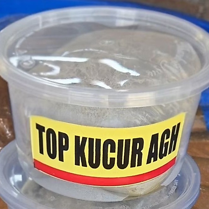 TOP Kucur AGH