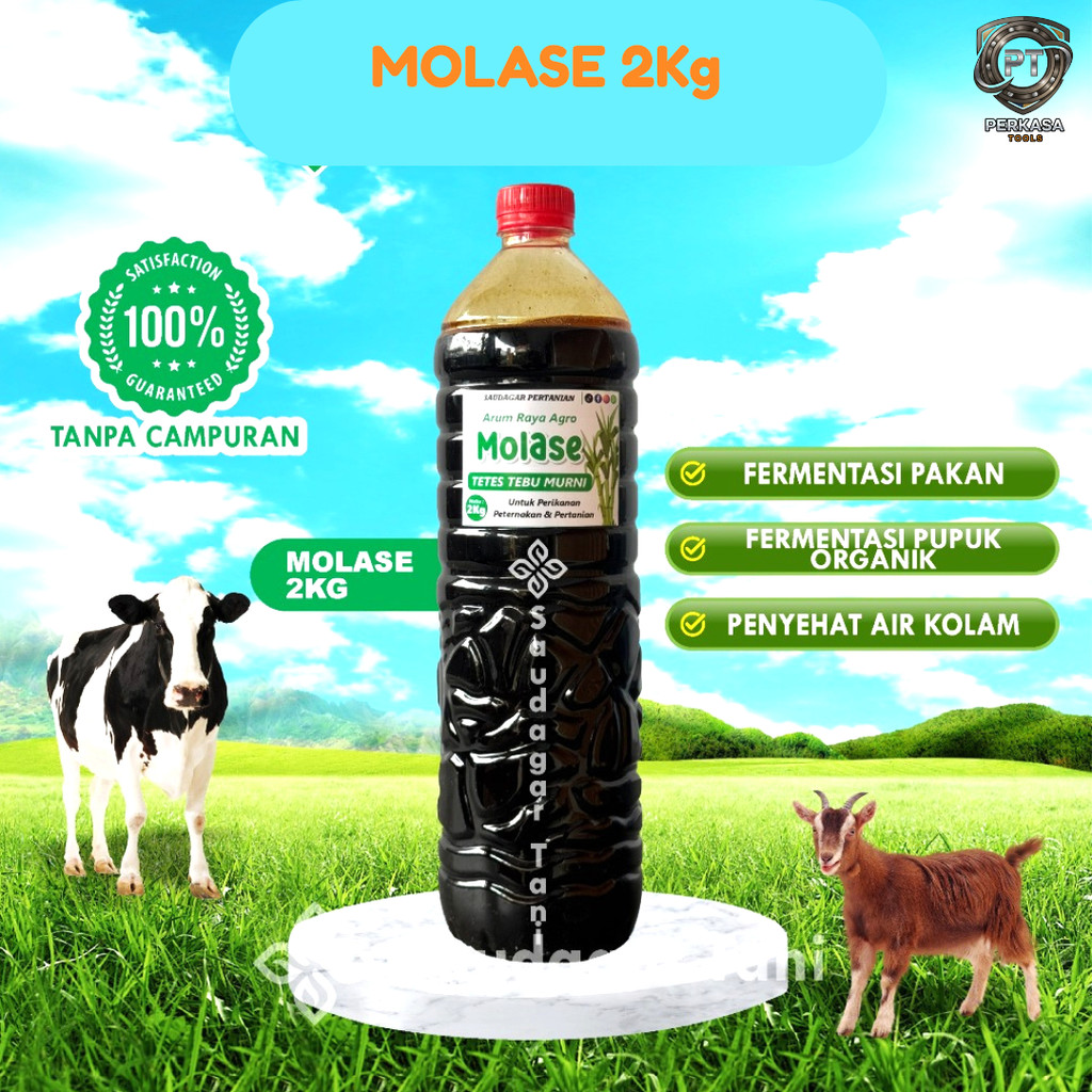 MOLASE Tetes Tebu Murni Isi 2kg - Grade A Tanpa Campuran Air - Pakan Ternak, Perikanan & Fermentasi