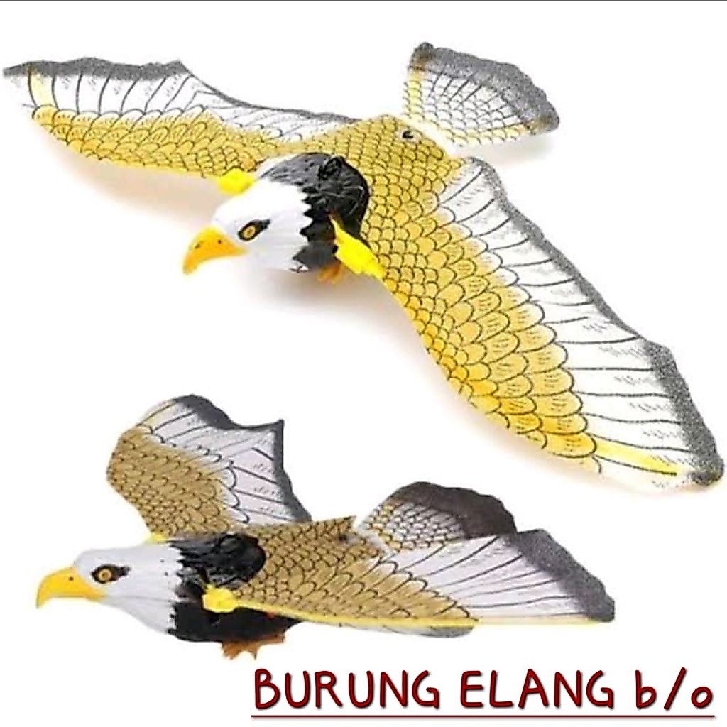 ELANG TERBANG b/o Mainan Flying Eagle