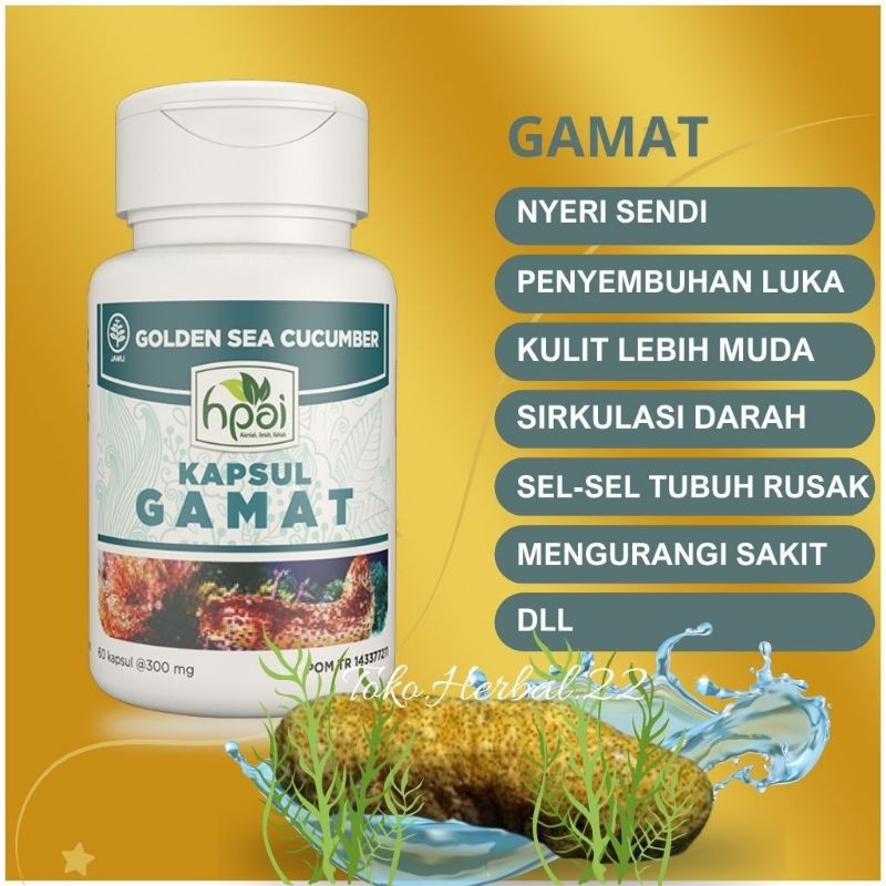 Gamat Kapsul HNI HPAI • Isi 60 Kapsul • Suplemen Untuk Menguatkan Imun & Menutrisi Tulang