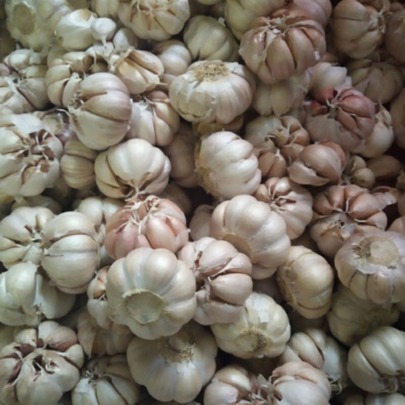 

bawang putih timbang 250gr - ABM