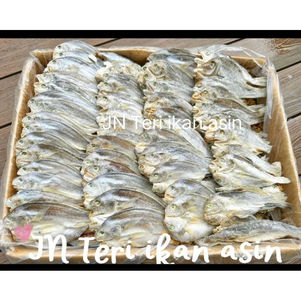 JN Teri ikan asin IKAN SAMGE BELAH SUPER KERING PREMIUN  ikan asin kepala batu belahan 1KG ikan asin