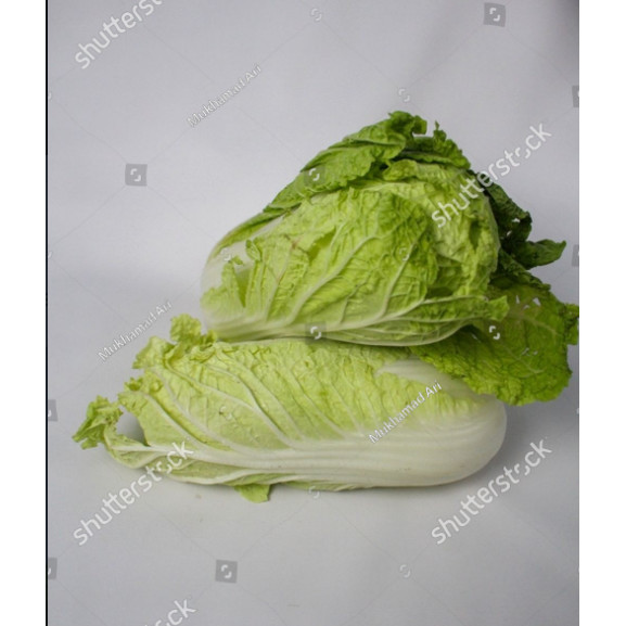 RBS Benih Sawi Putih Bibit Sayuran Slobor