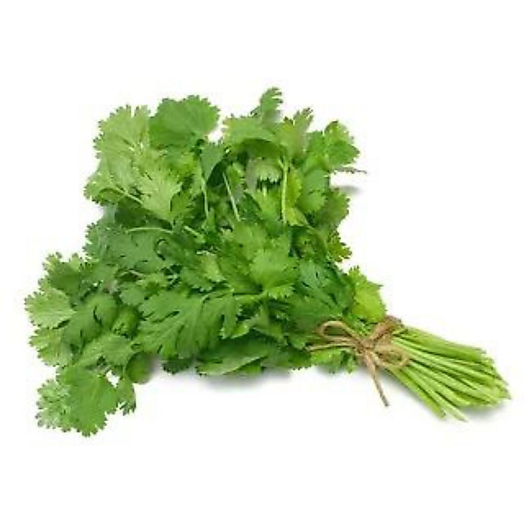 Daun Ketumbar Fresh 100gr