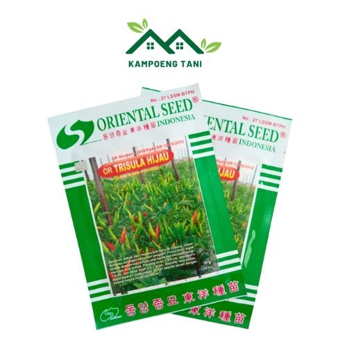 Benih Cabe OR Trisula Hijau 10gr – Cabe Berkualitas Tinggi Oriental Seed