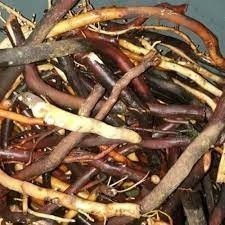 

Akar kelapa hijau segar 250 gram fresh ready gys