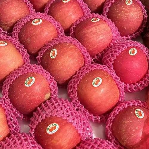 

PROMO BUAH APEL FUJI PREMIUM KUALITAS TERBAIK