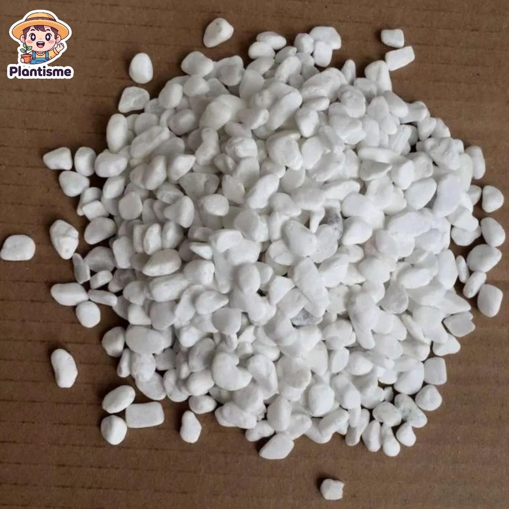 Batu Hias - Pure White Italy Stone Granite Kerikil Batu Alam Putih Dekorasi Pot Taman Aquarium Kolam